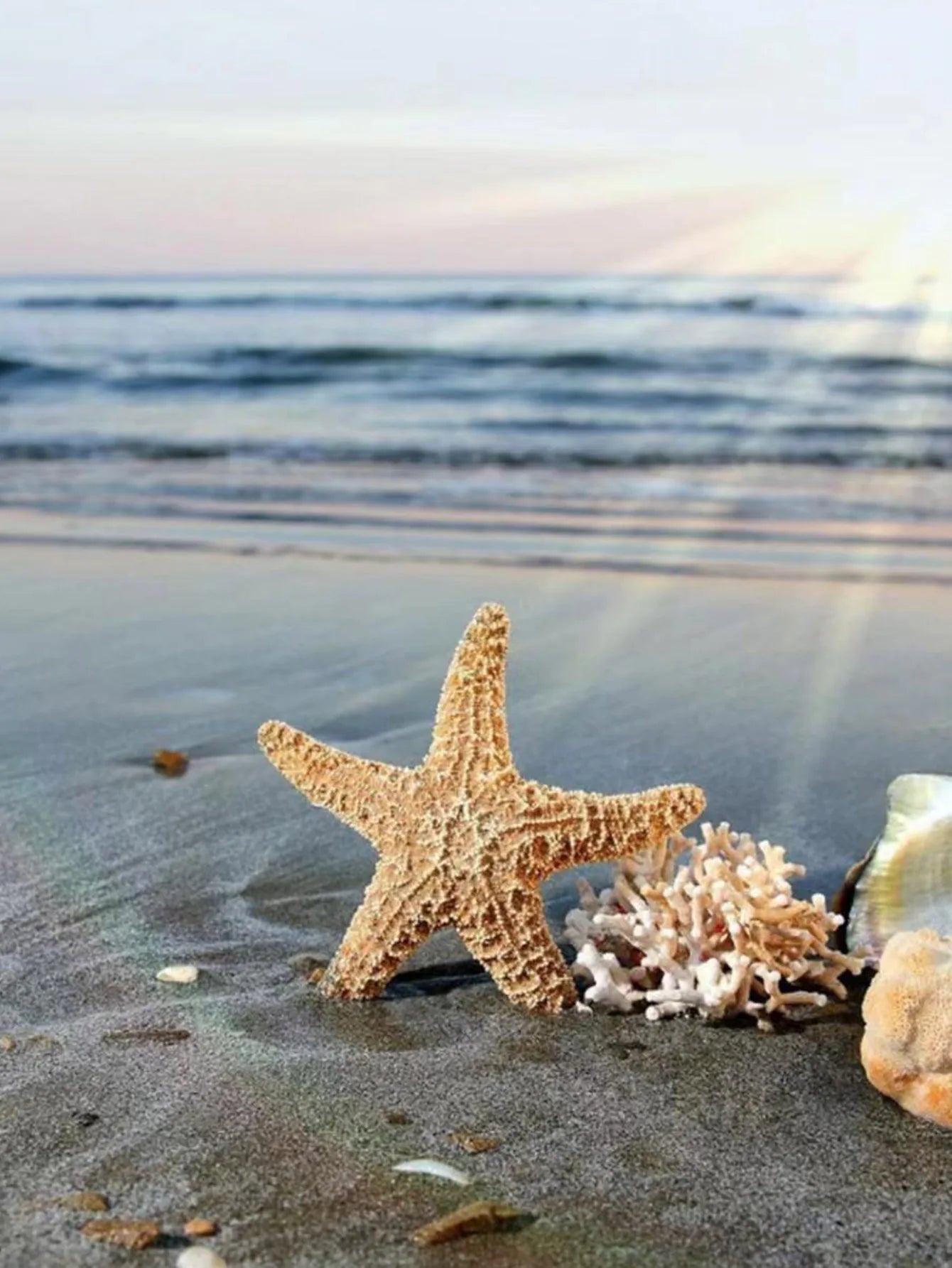 Grande Starfish Earrings